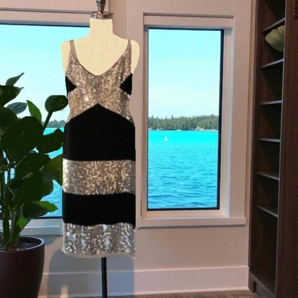 Say What? Dresses & Skirts - Say What Sleeveless Sequin Knit Dress
